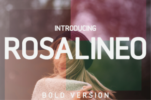 Rosalineo Bold: A Modern Take on a Typographic Classic